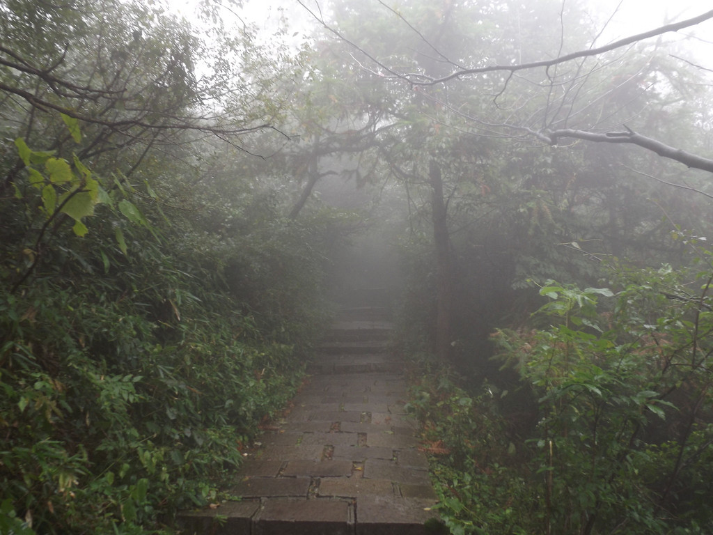 本来不好的下雨天,在天门山变成了好天气.因为有仙境般的云雾看丫