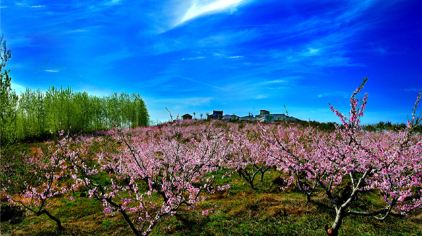 桃花岛风景区
