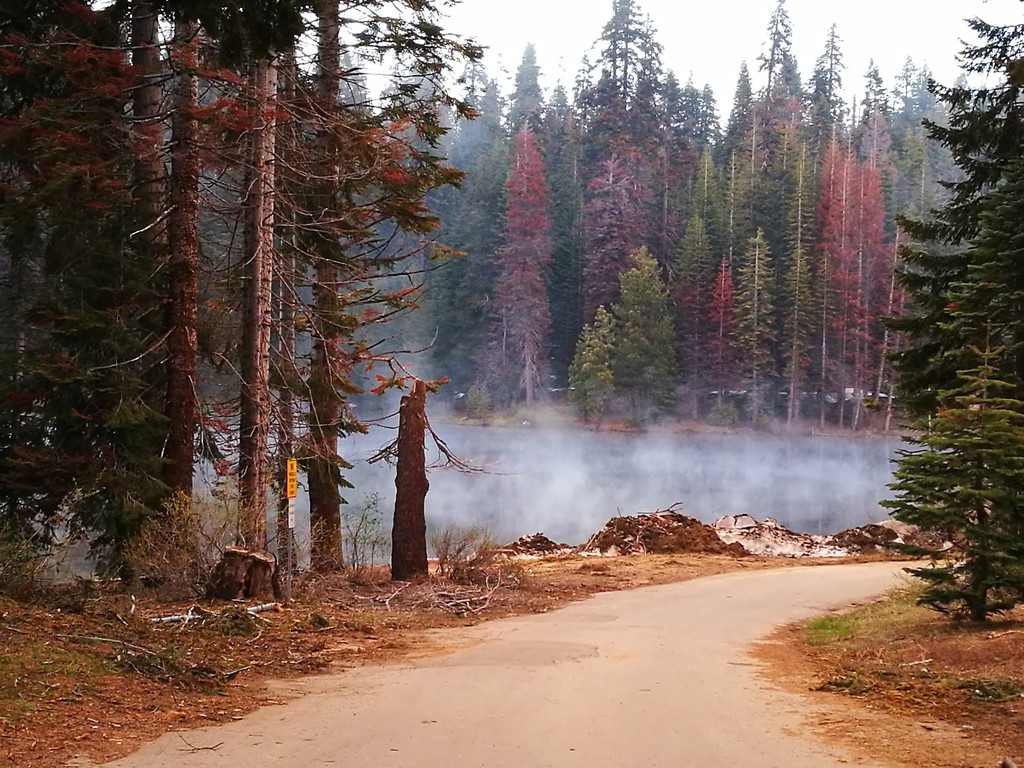 美景不分国界,2017再闯美西之:美国红杉树国家公园(sequoia national