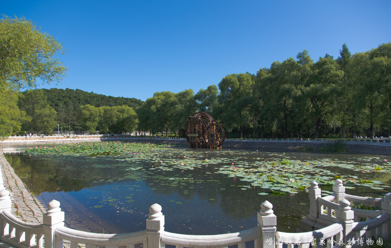 重返黑龙江宝泉岭-知青寻梦之旅