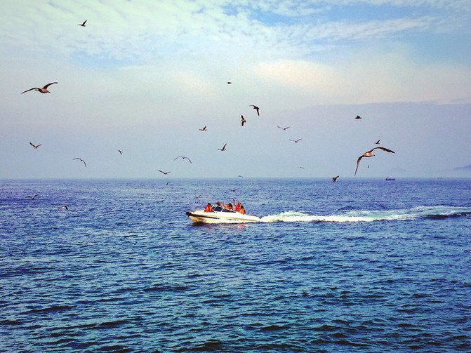 那年夏天,那片海——青岛游