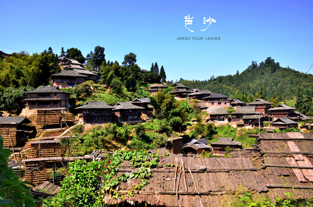 王家寨风景