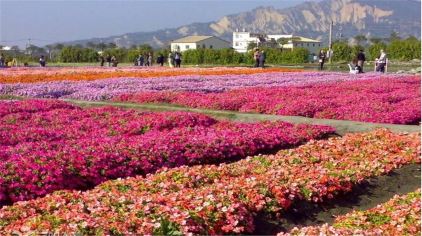 香盟花千谷景区