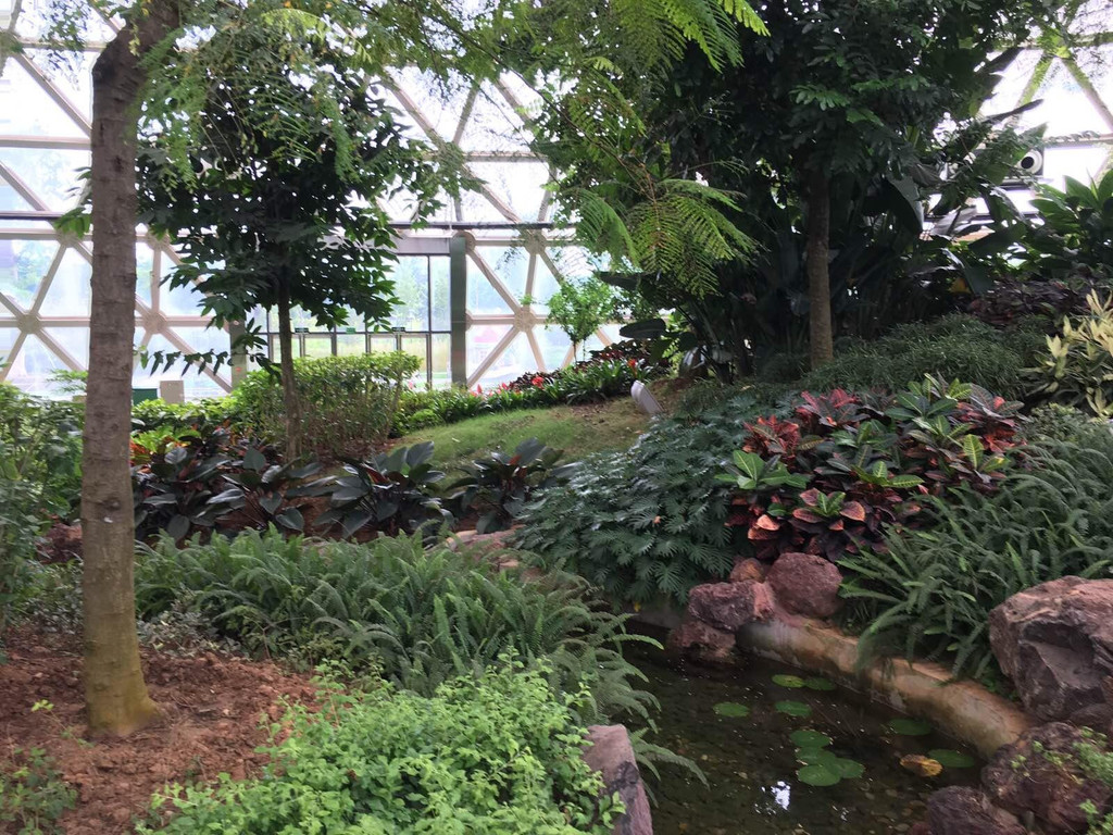 大阳山植物园                              