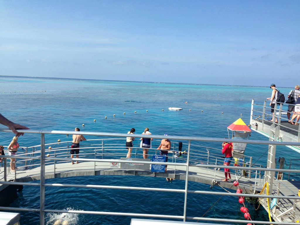 the great barrier reef 大堡礁