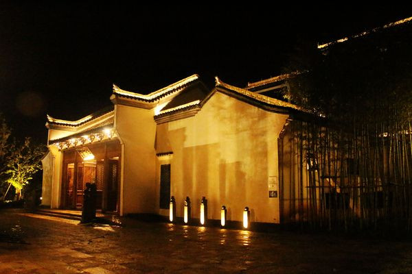 夜晚,树影婆娑