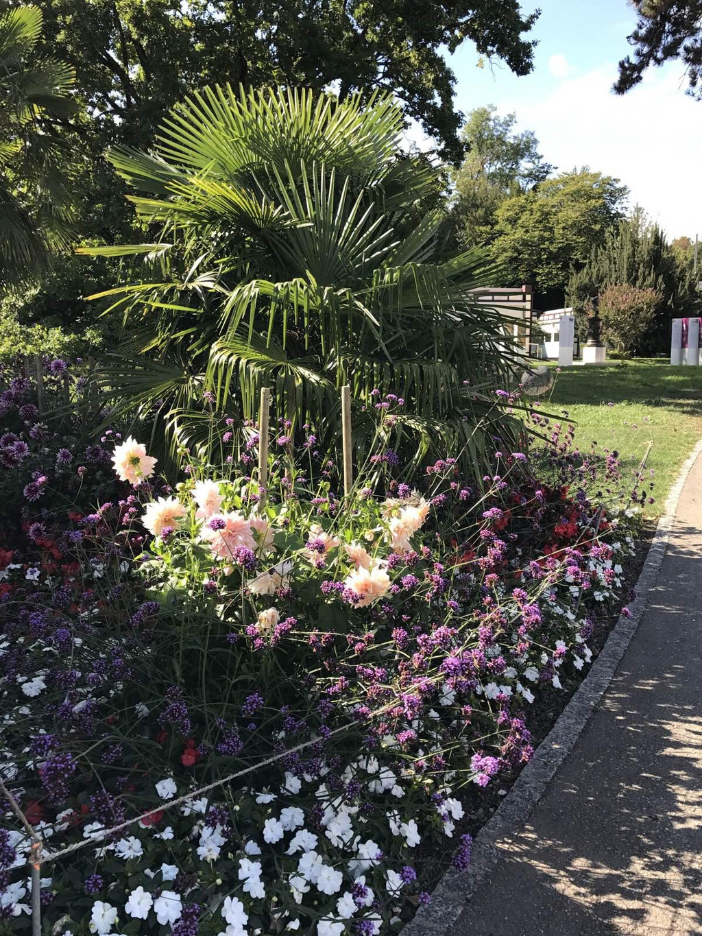 日内瓦植物园