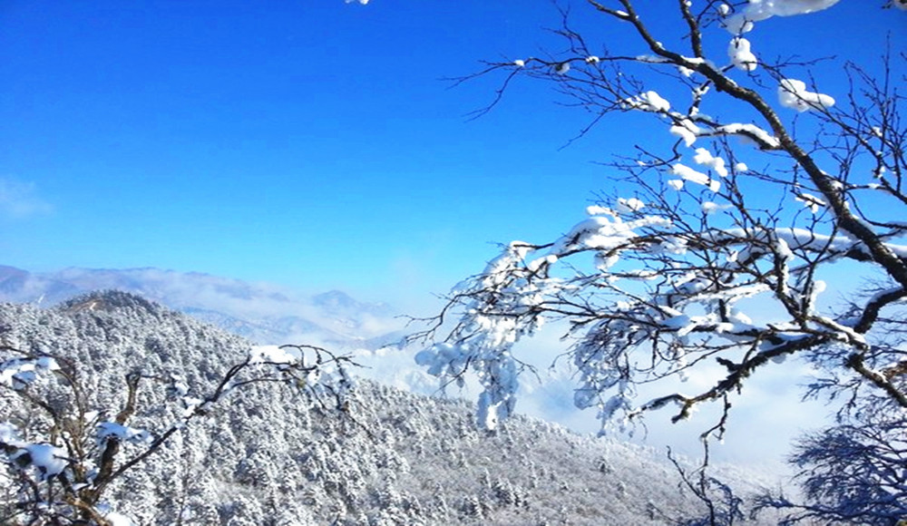 那一年"川"梭中的回忆:足迹四川大邑西岭雪山-西岭雪山滑雪场