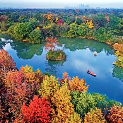 杭州西溪国家湿地公园一日游