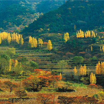 新乡万仙山景区+中华影视村-郭亮村+郭亮隧道一日活动 新乡万仙山景区+中华影视村-郭亮村+郭亮隧道一日活动