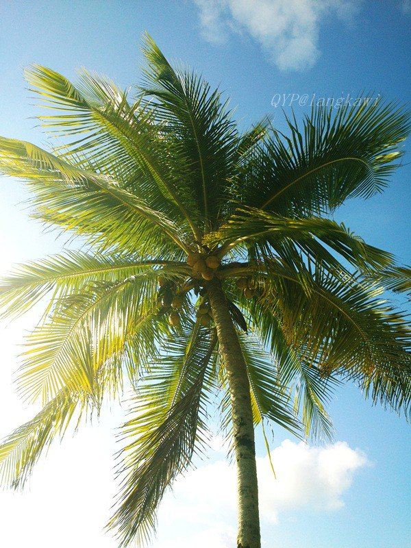 2012青春六人行の兰卡威、槟城、吉隆坡 - 兰