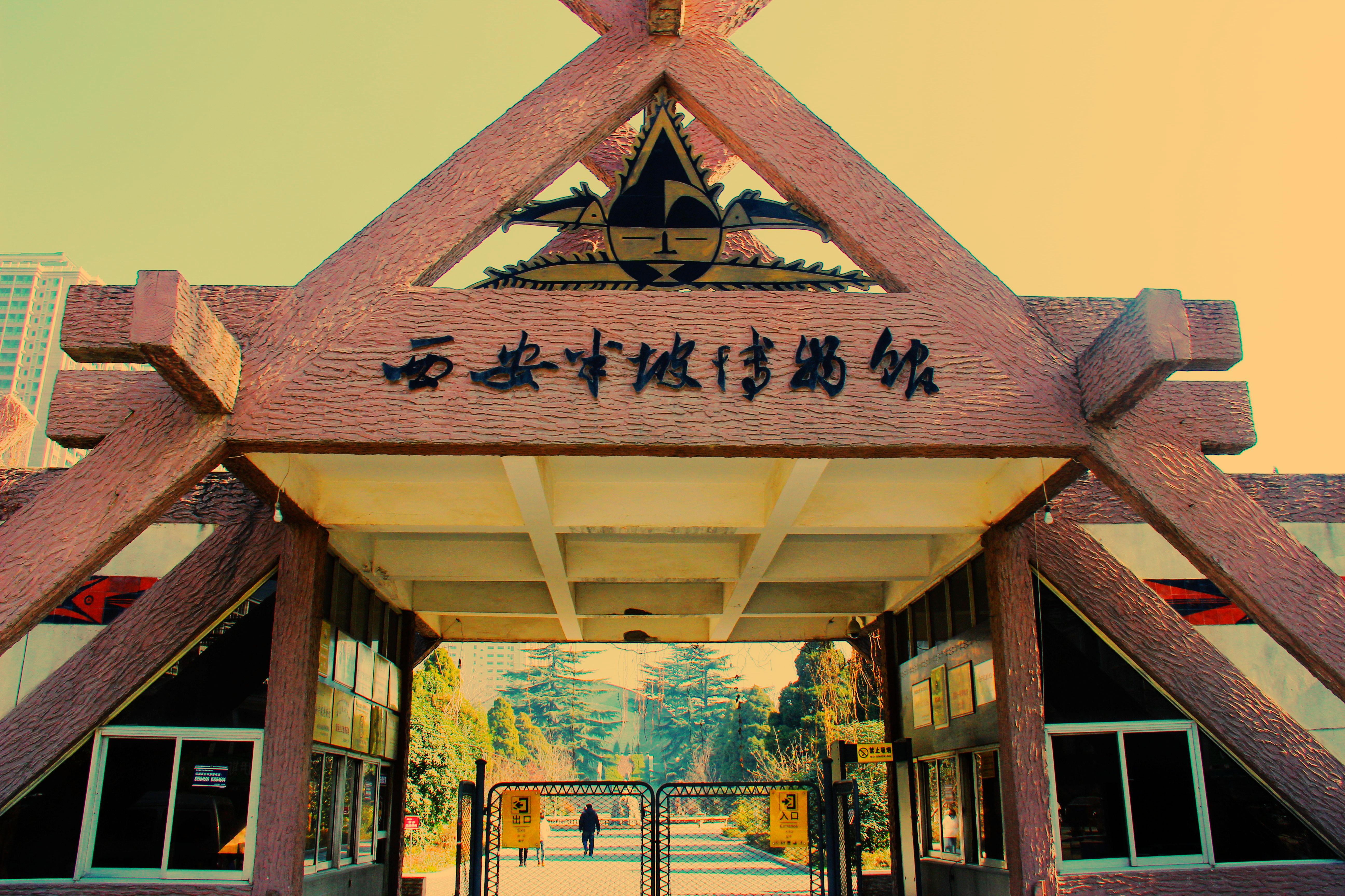 半坡博物馆