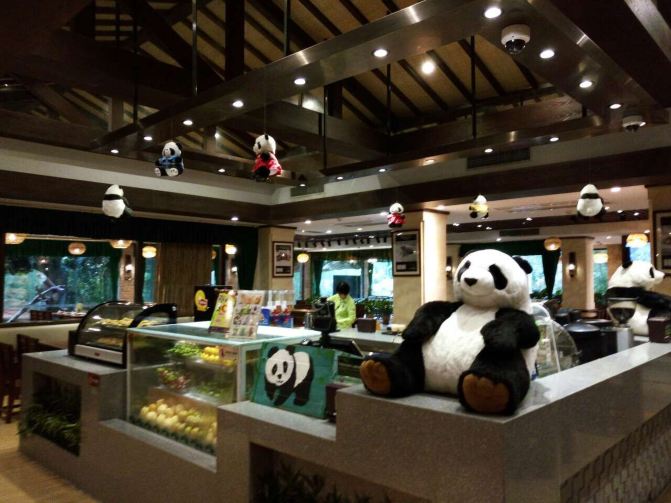 游站#长隆野生动物世界的奇妙新体验 - 广州游