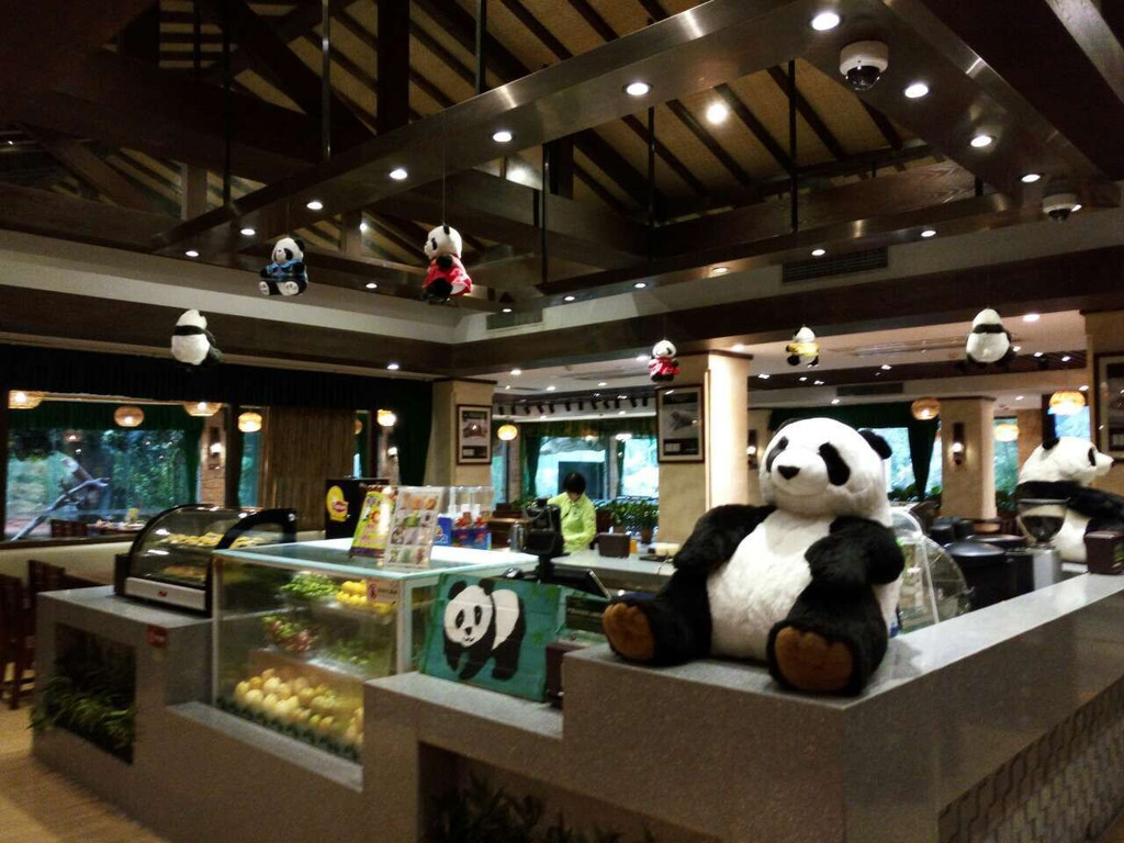 長隆野生動物世界的奇妙新體驗 圖/文 羽子偕老 老爸,老爸,我們去哪里呀?有我在就天不怕地不怕。寶貝,寶貝,我是你的大樹,一生陪你看日出走在大街上,臨街的商店傳來這首熟悉的《爸爸去哪兒》主題曲,我才意識到孩子們的暑假又開始了。畢業多年的我,對于沒有暑假這個事實早已經接受了。俗話說:難受不如接受,接受不如享受。而我目前也正是處于享受的階段,至少我認為是。喜歡攝影,喜歡旅行,工作之余,如果沒有出遠門,我也會拿起相機到廣州周邊走走拍拍,生活很複雜,也很簡單,看你怎麼去對待,保持好的心態非常重要。 越來越