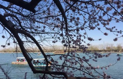 北京四天自由行 - 北京游记攻略