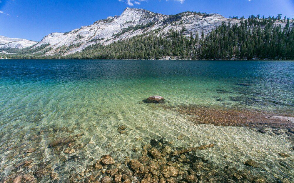 美国西海岸+洛杉矶+旧金山+拉斯维加斯+棕榈