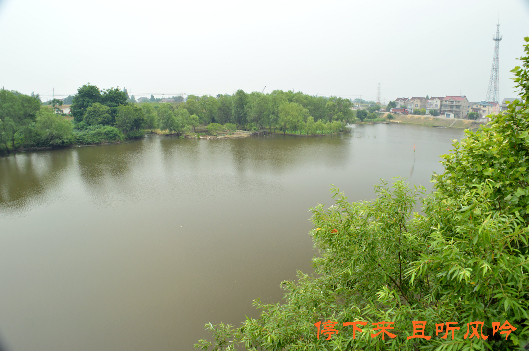 水阳江大桥