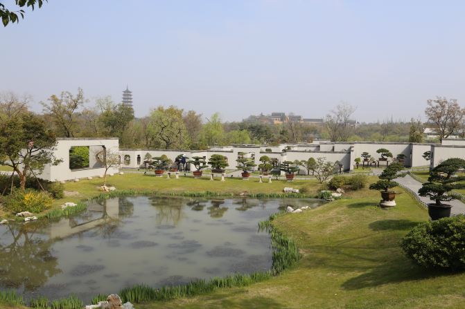 宋时已有制作,至清代,扬州广筑园林,大兴盆景,有"家家有花园,户户养