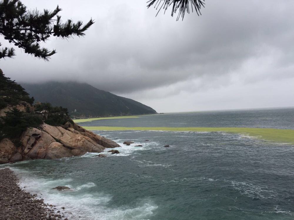 山东青岛崂山