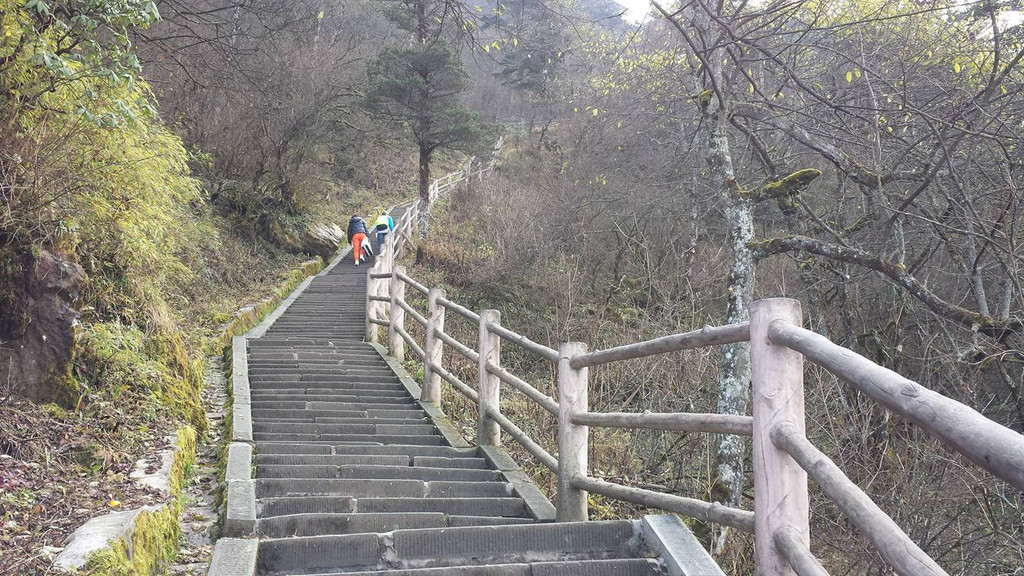 苦修行走峨眉山—3天全程徒步上下山,地毯式扫遍峨眉所有景点和线路