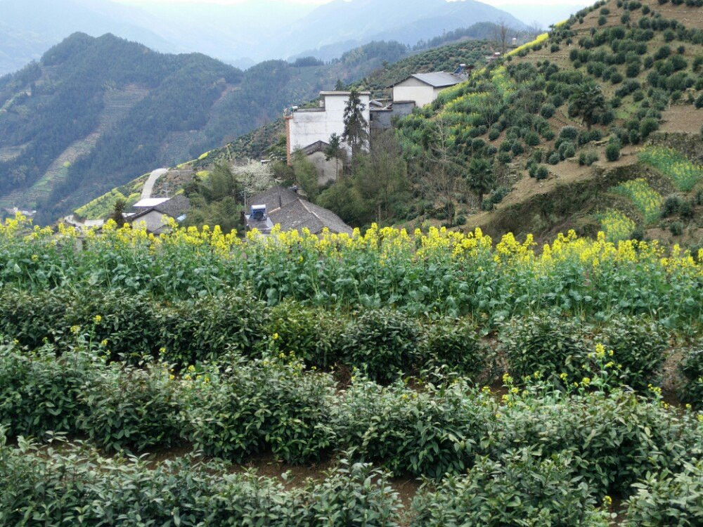 蜈蚣岭