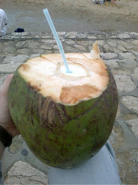 第一次吃到新鲜的椰子 6元一个 原来真正的椰子汁味道这么淡的
