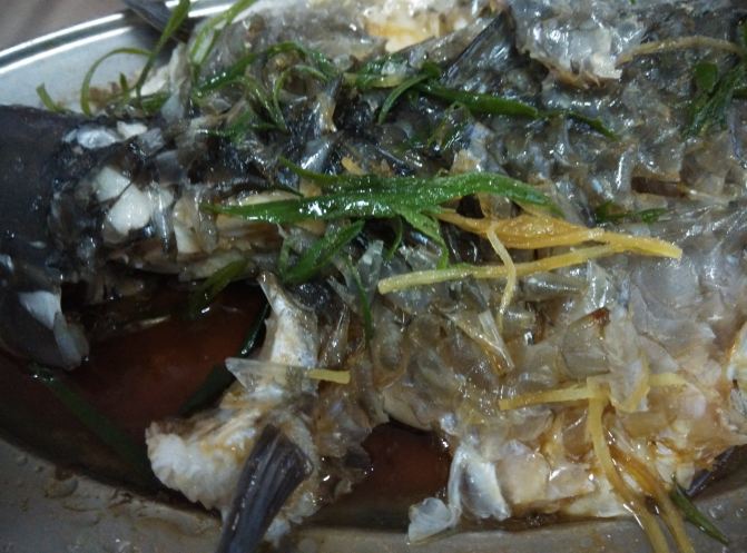 亚来回5700公里,途经浙江江西福建广东海南岛