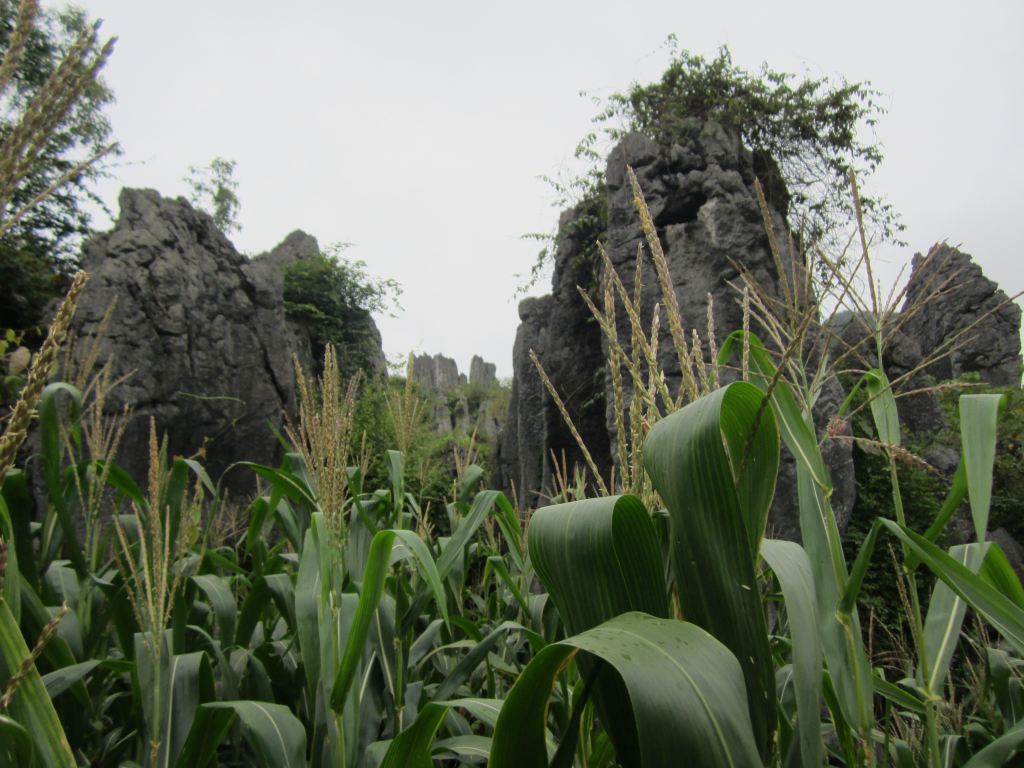 安顺,兴义7天自由行攻略(儒林街,马岭河峡谷,万峰林,南龙古寨,泥窞