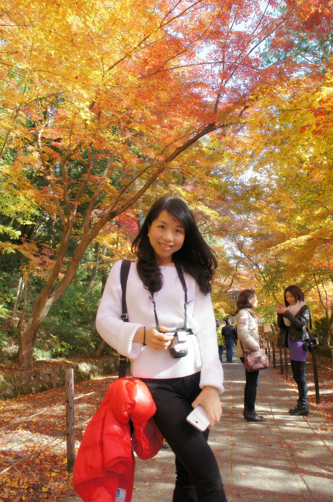 京都红叶狩图片