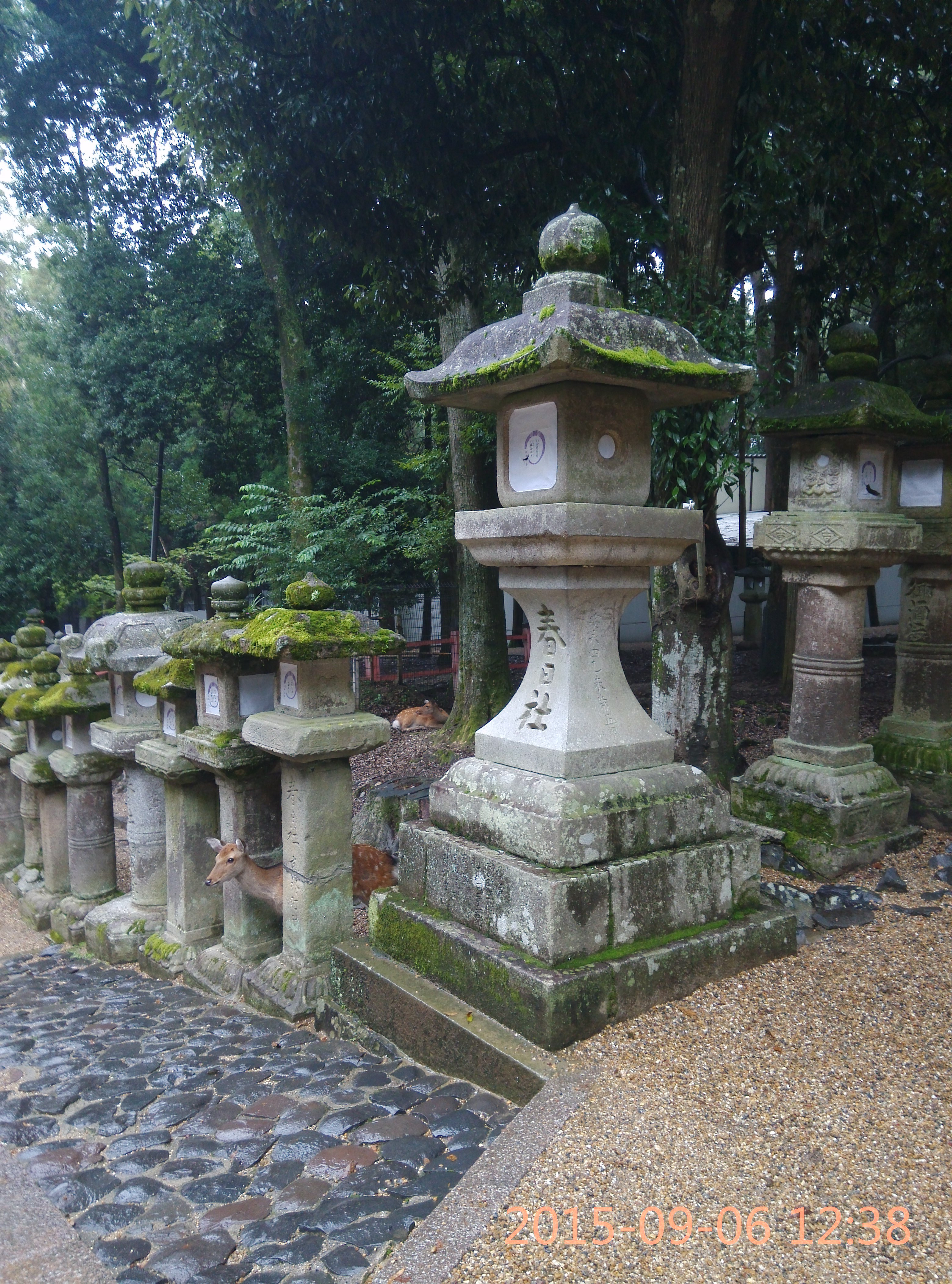 可以看出神社的地位很高,因为每隔20年一次的造替重修,会由信徒捐献