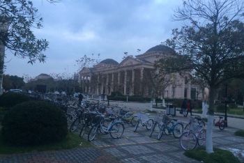 初冬印象---上海外国语大学松江校区 - 上海游记