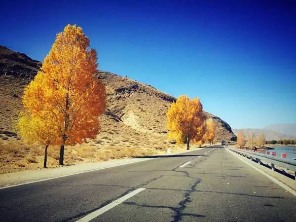 西藏旅行(羊湖拉若拉冰川篇) - 江孜游记攻略