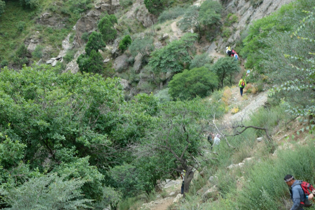 芦房沟是位于九峰山土右旗的一条山沟,风景秀美 ,水量充沛,尤其植被