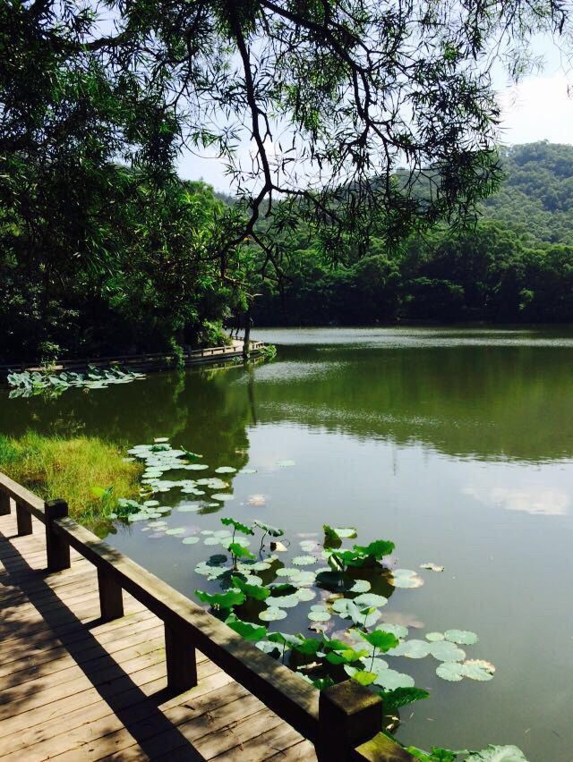 厦门大学情人谷(思源谷)