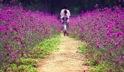 2015杭州中秋节情侣去哪玩好 中秋节去哪里玩