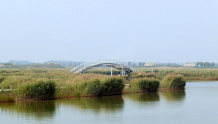 江北"沙家浜,寿光巨淀湖