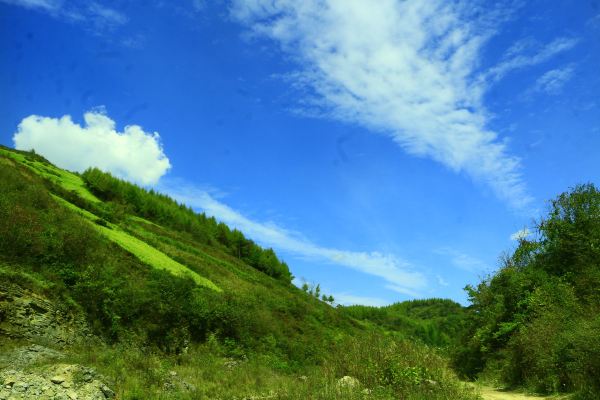 道重庆—奉节(白帝城-地缝-茅草坝)