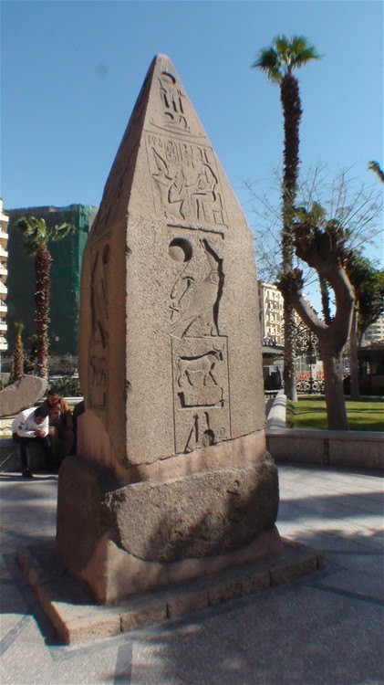 .观世界著名的 埃及开罗博物馆 埃及3. 天津驴总