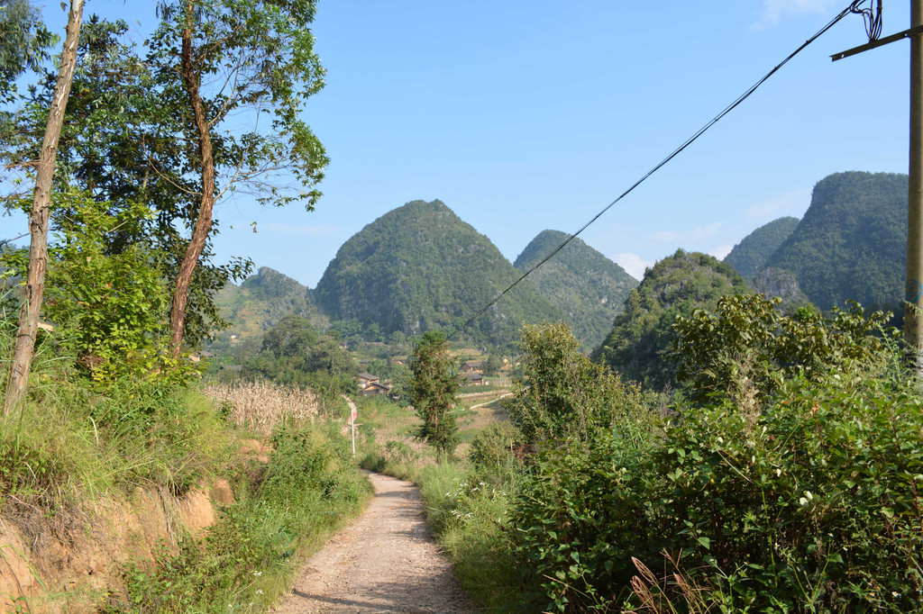 广南县董堡乡里标村