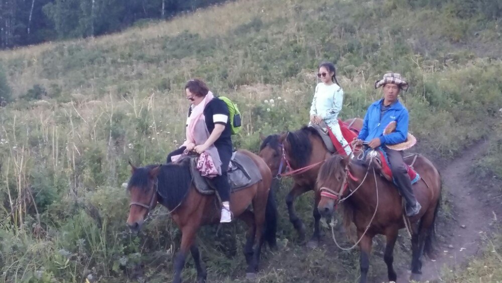 回来时,女儿坚持自己独立骑一匹马 禾木风景区