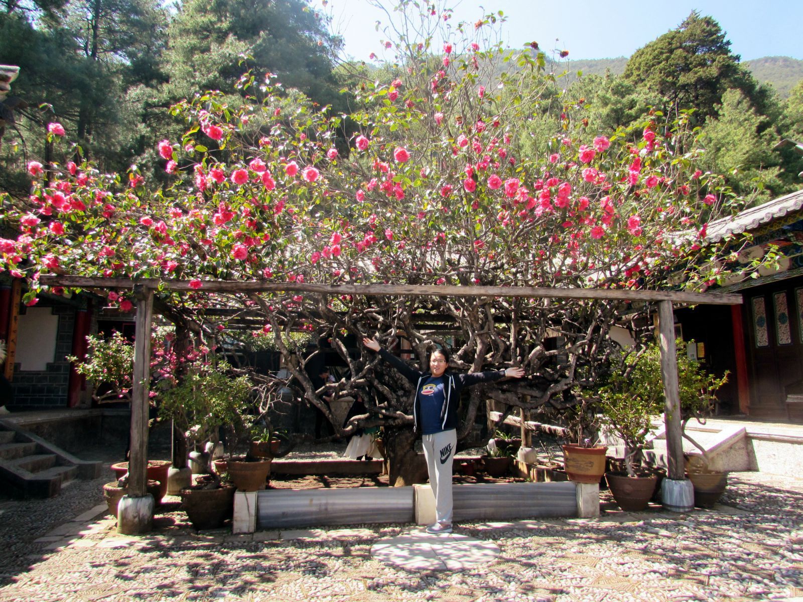 玉峰寺,春日束河—丽江13