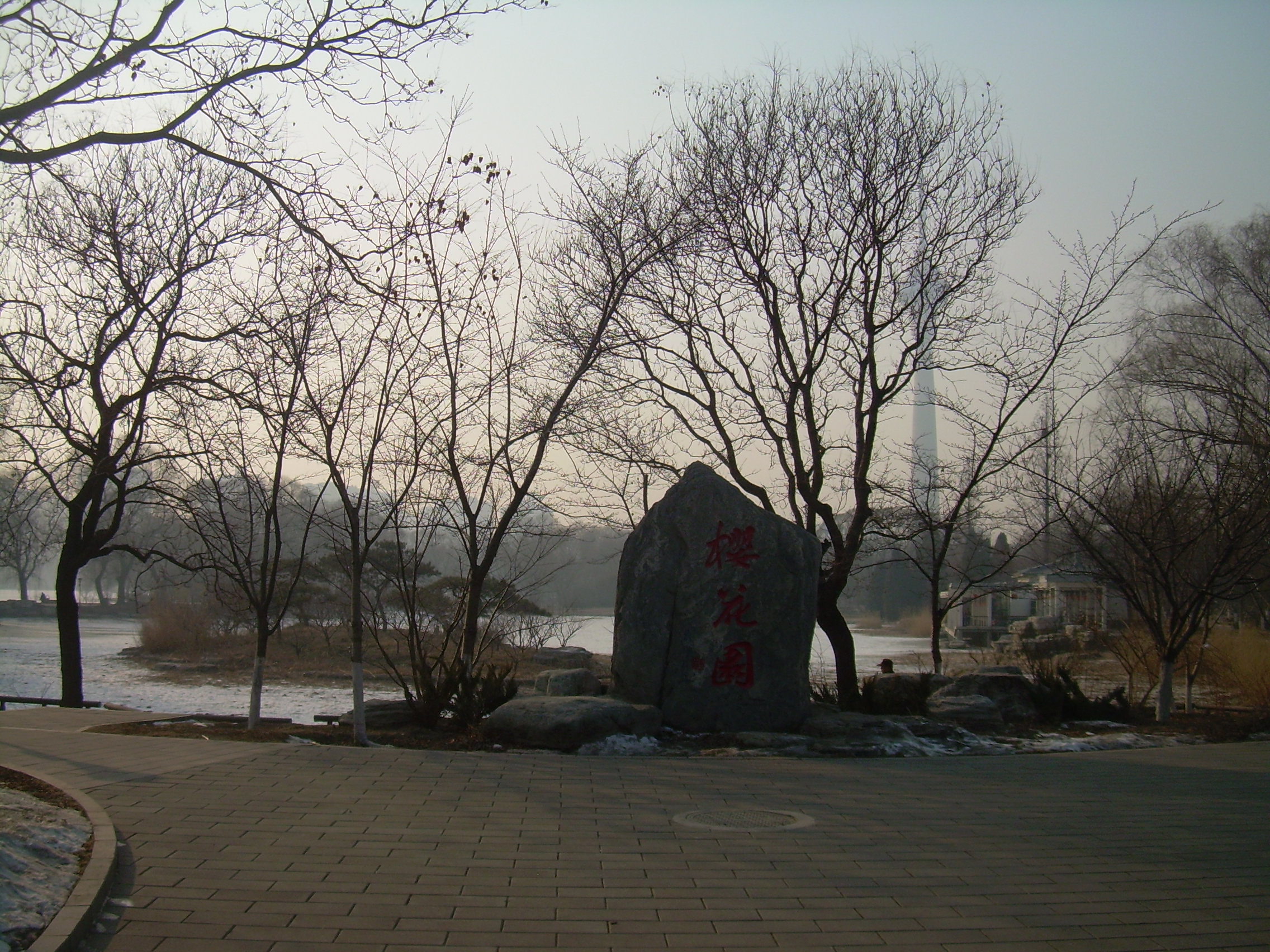 冬季的玉渊潭公园