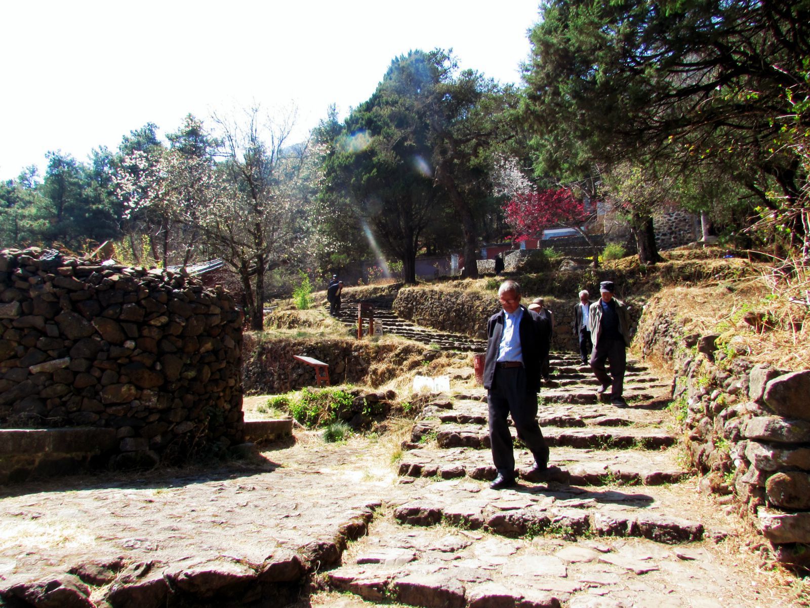 玉峰寺,春日束河—丽江13