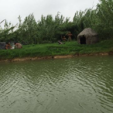 泗洪洪泽湖湿地公园_泗洪湿地公园门票收入(2)