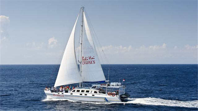 帆船介绍丨Aristocat Cruise Aristocat双体帆船适合喜欢休闲的游客,不紧不慢的船速、平稳的行驶体验,让您能有足够的时间饱览海上风光。帆船仅有一层,但是宽阔的户外甲板视野是最大的亮点之一,是带着情侣或者挚爱出行的不二浪漫船型。扬帆而起的出海之旅,迎着习习吹拂耳边的海风,惬意地坐在前方空处享受天然日光浴,慢慢靠近梦幻的蓝梦岛。船上载客人数不多,硬件设施精良,为您带来更享受、更私密的游览体验。 为什么要选择Aristocat双体帆船出行? 1、平稳航行带来更多舒适:扬帆航行的双体