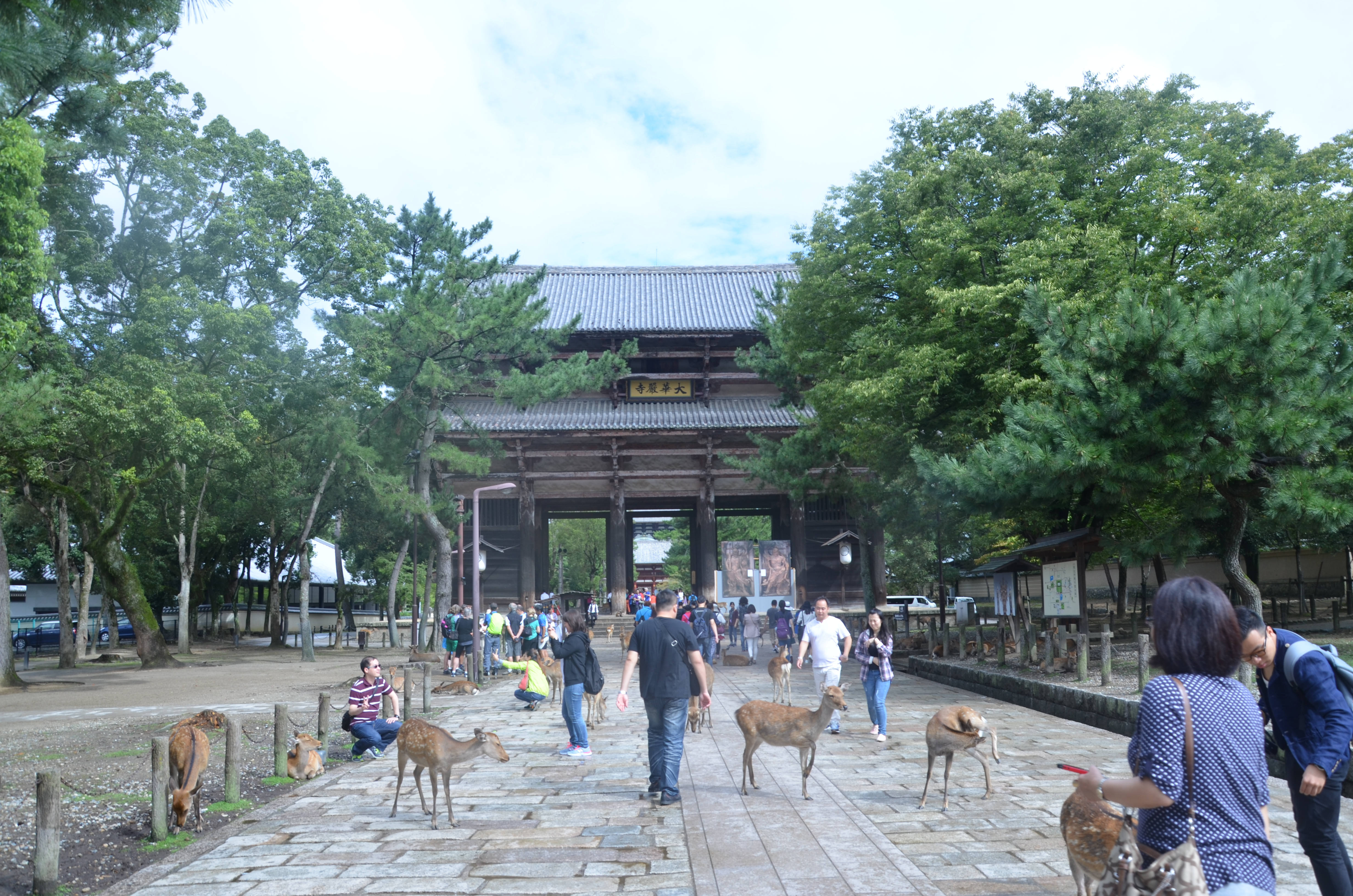 日本大阪 京都 箱根 东京 北海道9日8晚跟团游