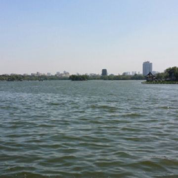 大明湖的夏雨荷_大明湖一年收入多少钱(2)