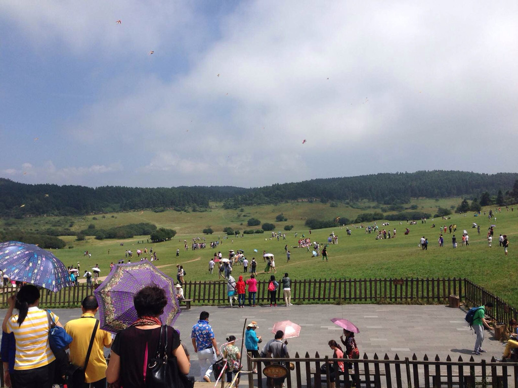 第2天 2014-07-27 仙女山国家森林公园大草原 仙女山位于武隆县双河