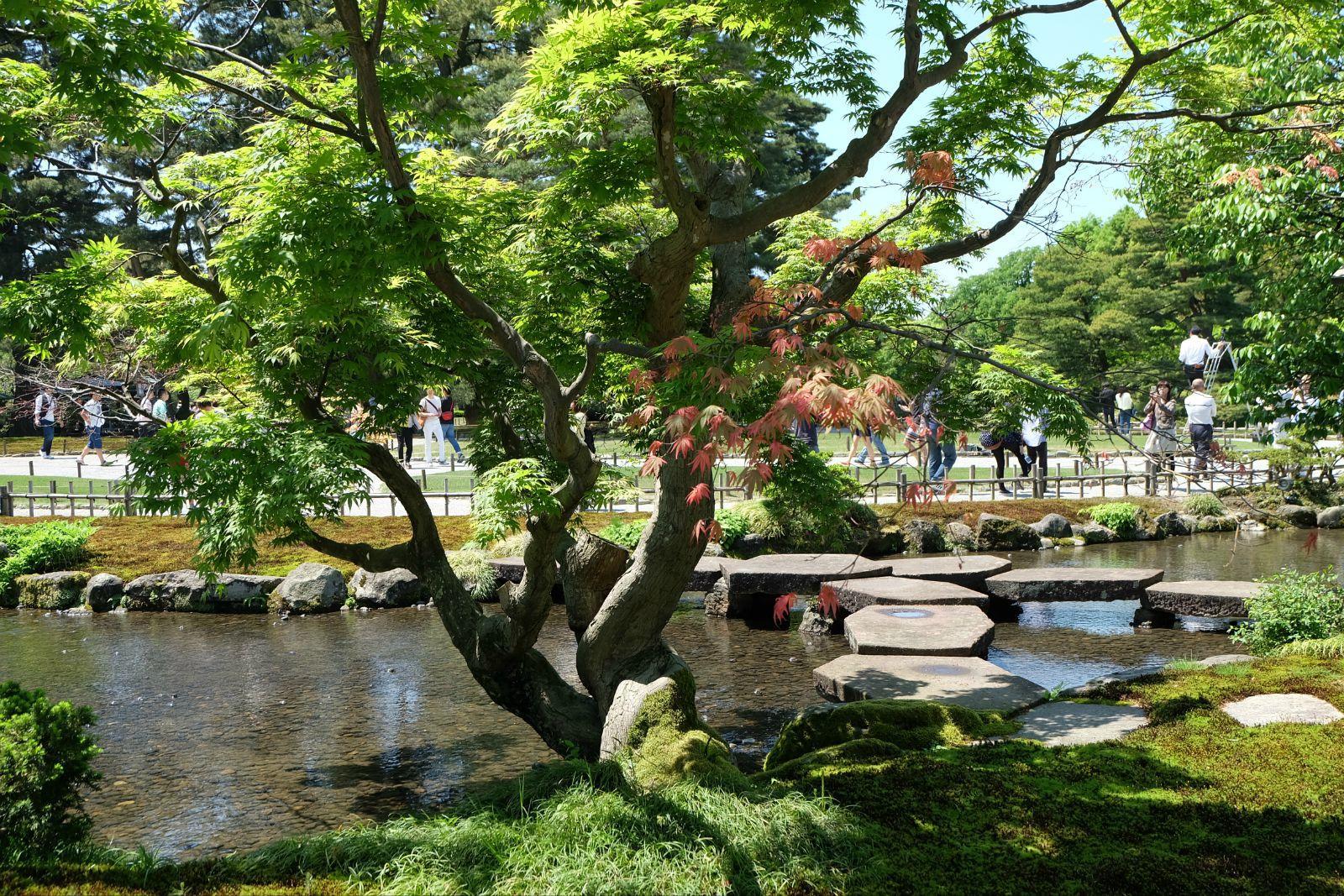 春末之日本北陆(中)-金泽市(2)