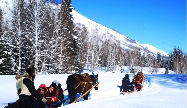 亚布力滑雪,俩小时200元 雪服,一天 100元 马拉爬犁,俩小时,全景有